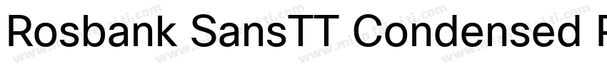 Rosbank SansTT Condensed Regular字体转换